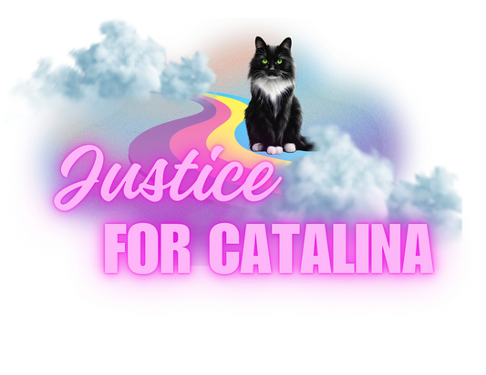 Justice For Catalina Tees